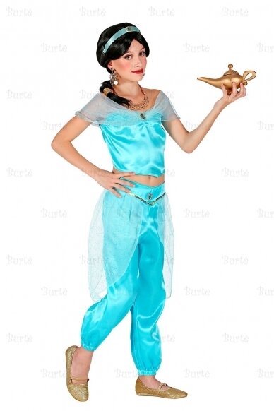 Arabian princess costume 1