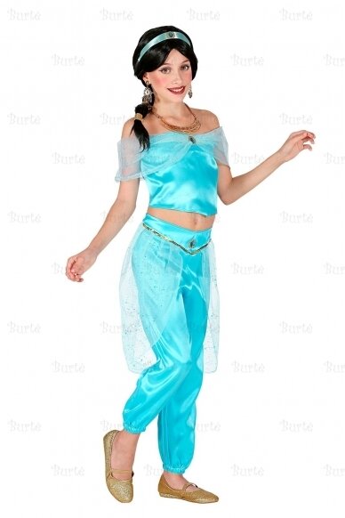 Arabian princess costume