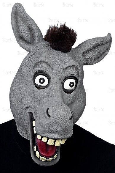 Donkey Mask 1