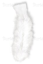 White Feathers