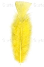 Yellow Feathers