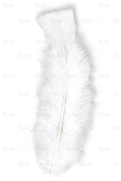 White Feathers