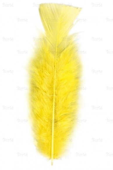 Yellow Feathers