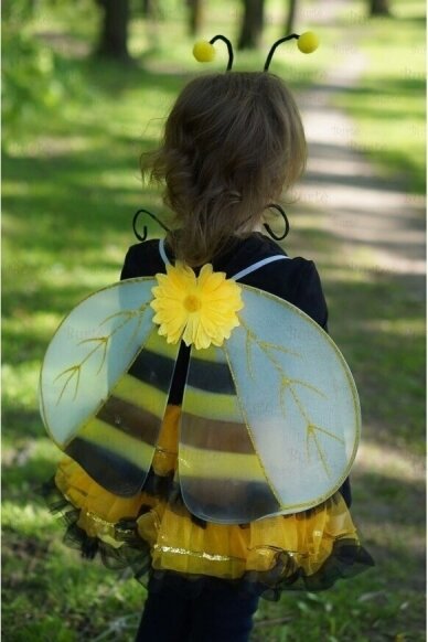 Bee wings 1