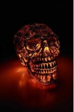 Skull with Light