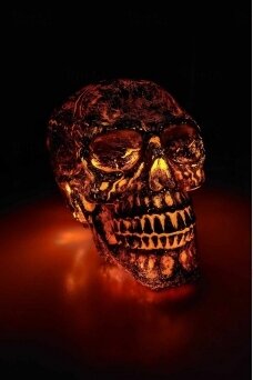 Skull with Light