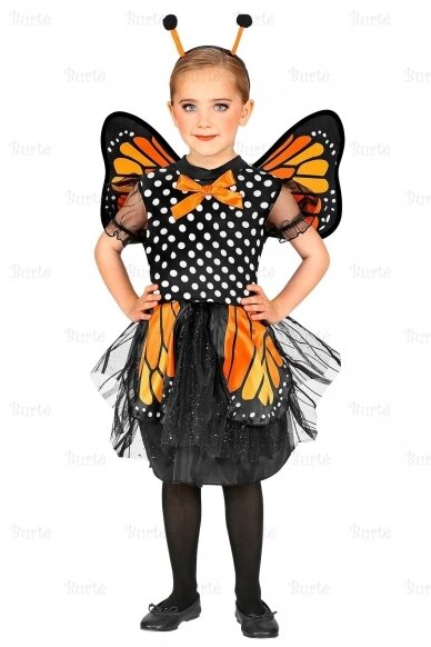 Butterfly costume