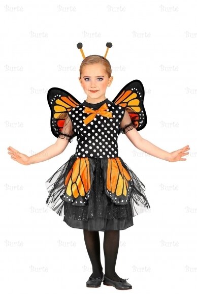 Butterfly costume 1