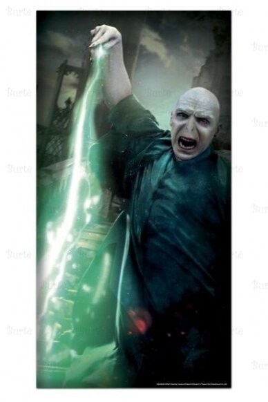 Harry Potter Voldemort