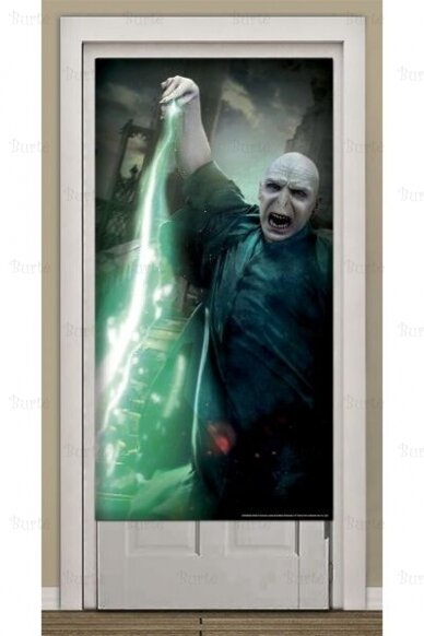 Harry Potter Voldemort 1