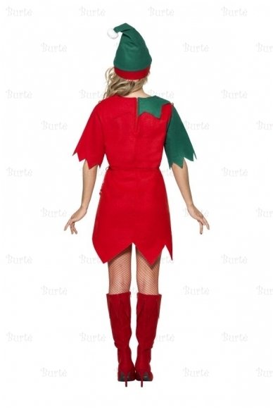 Miss Elf Costume 1