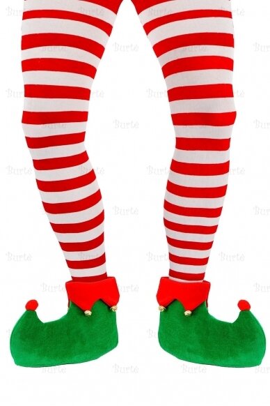 Elf Shoes 1