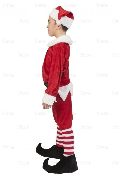 Elf costume 2