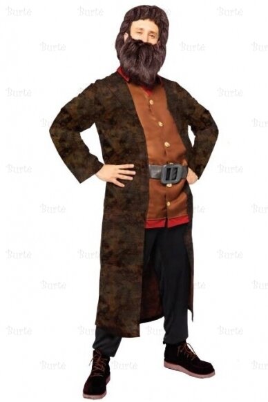 Costume Hagrid, Various Characters Fancy Costumes, Fancy Dress Costumes  for Adults, Fancy dress costumes and disguise