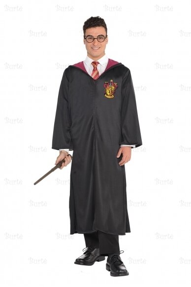 Harry Potter costume