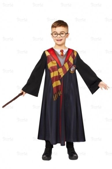 Harry Potter costume