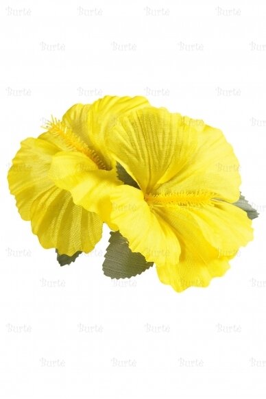 Yellow Hawaiian Flowers 2