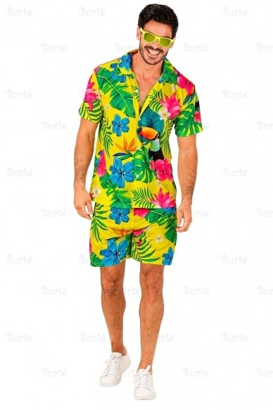 Hawaiian Costume