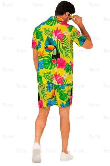 Hawaiian Costume 1