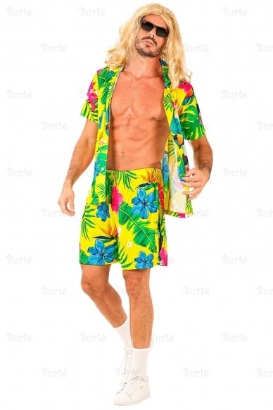 Hawaiian Costume 3