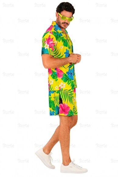 Hawaiian Costume 2