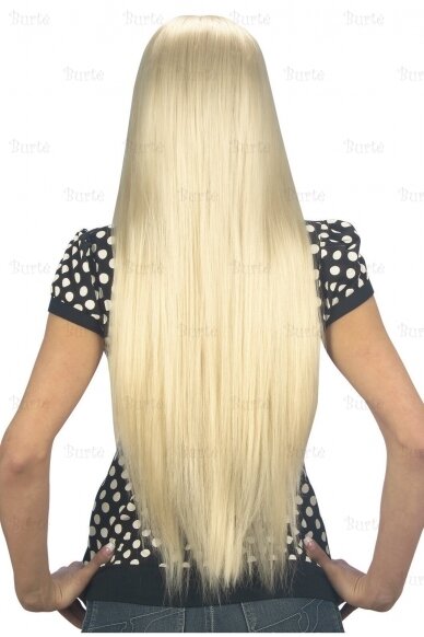 Blond Long Wig 1