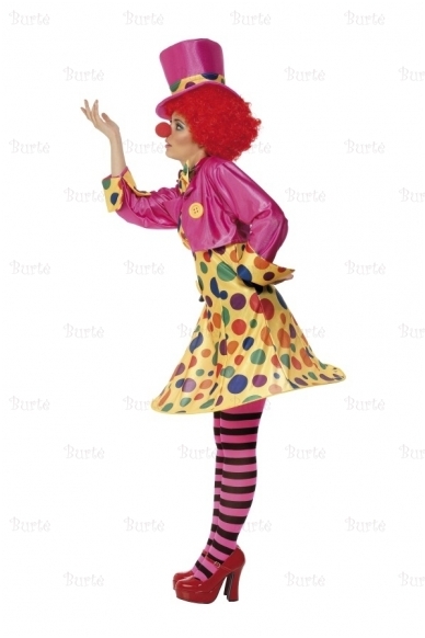 Clown Costume 1