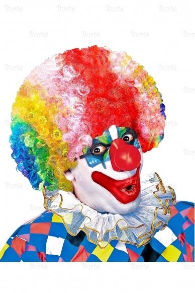 Clown Wig