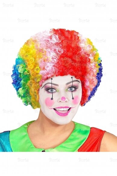 Clown Wig 2