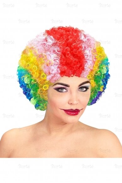 Clown Wig 3