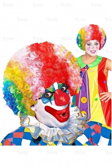 Clown Wig 1