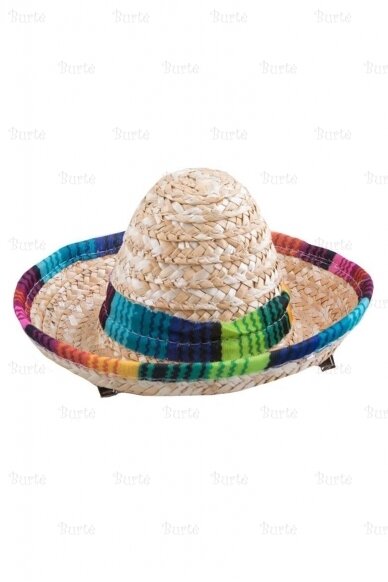 Mini Sombrero Hat