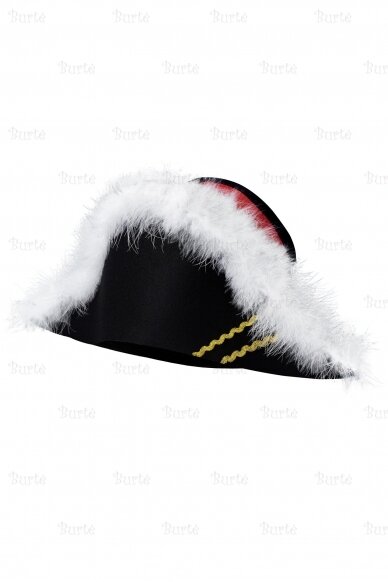 Napoleon Hat 1