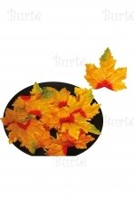 Orange Pumpkin Leaves