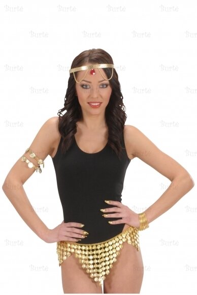 Belly dance belt 2