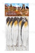 Indian Feathers