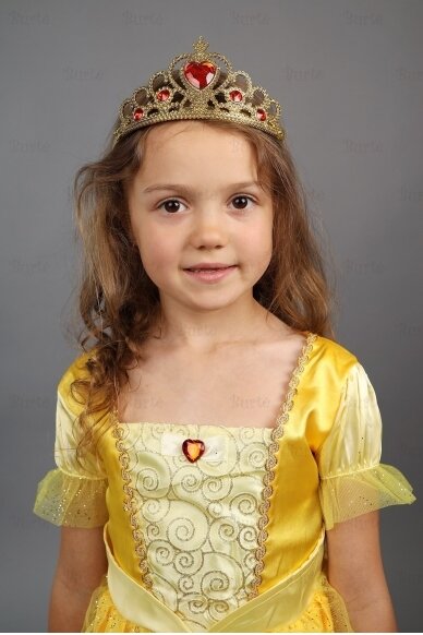 Princess costume 5