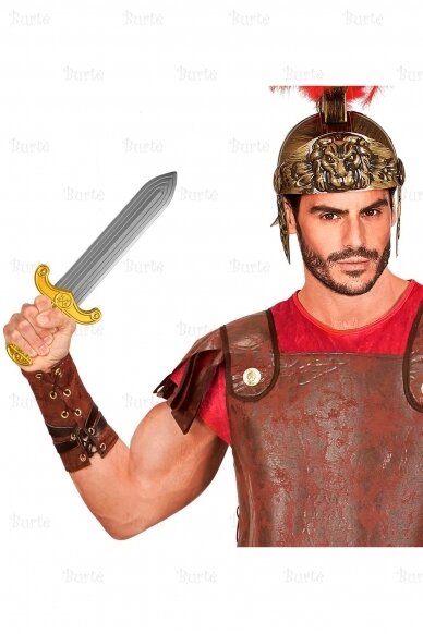 Roman sword 2