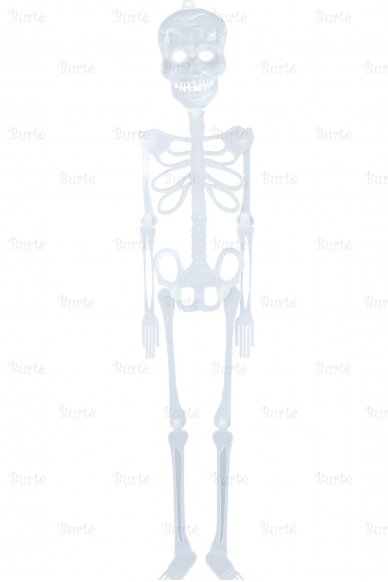 Skeletas, 75 cm 4