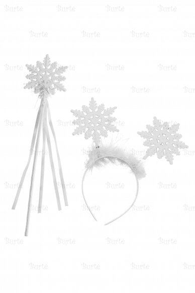 Set snowflake 1