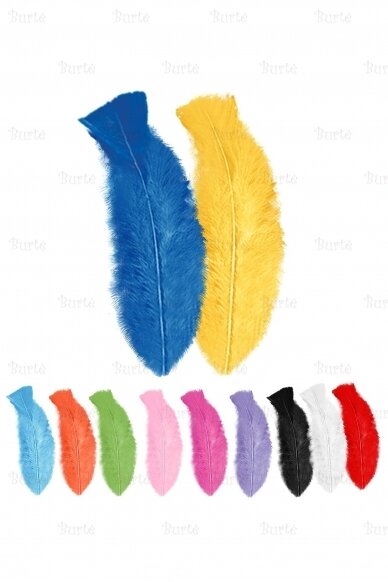 Colored Feathers