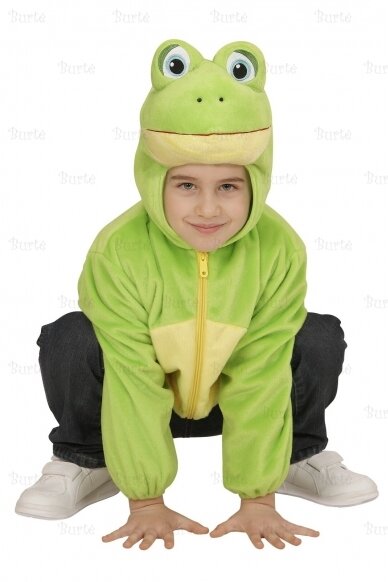 Frog Costume 1