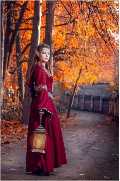 Medieval Lady Dress 2