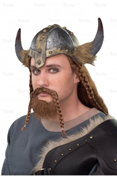 Viking helmet