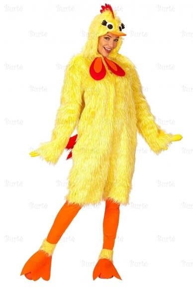 Chicken Costume 1