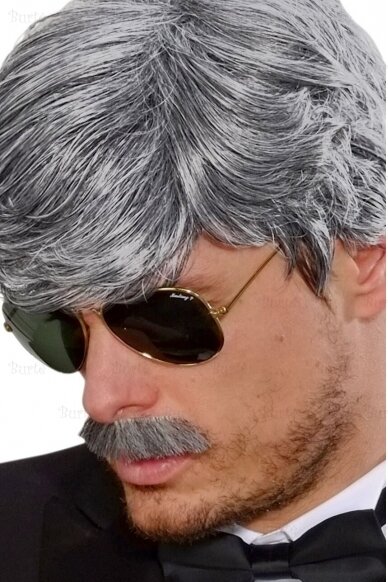 Grey Wig and Moustache 1